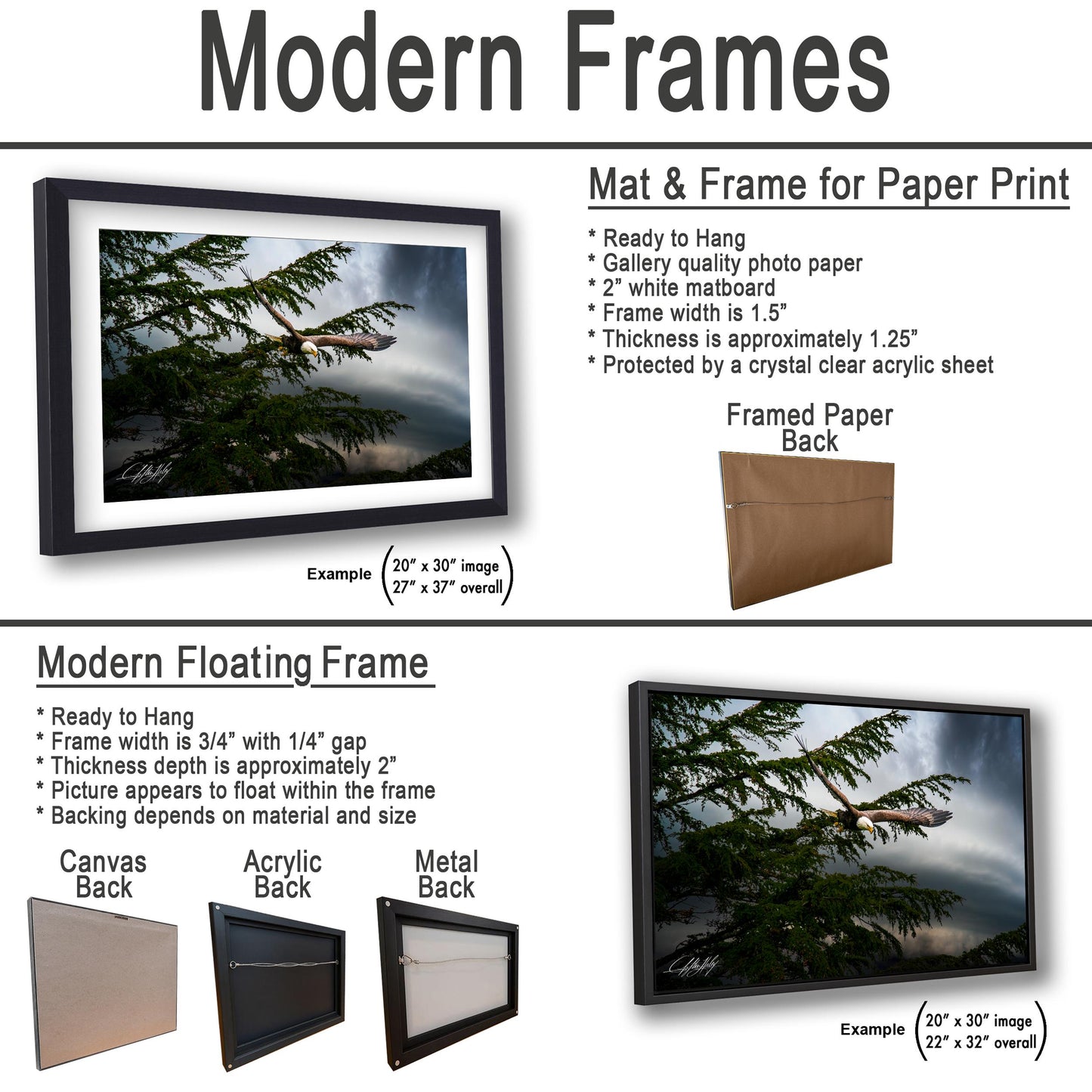 The image is a collage of two framed pictures, one of a tree and one of a bird in flight, both featuring modern floating frames. The text provides information about the frames, including their sizes and materials.