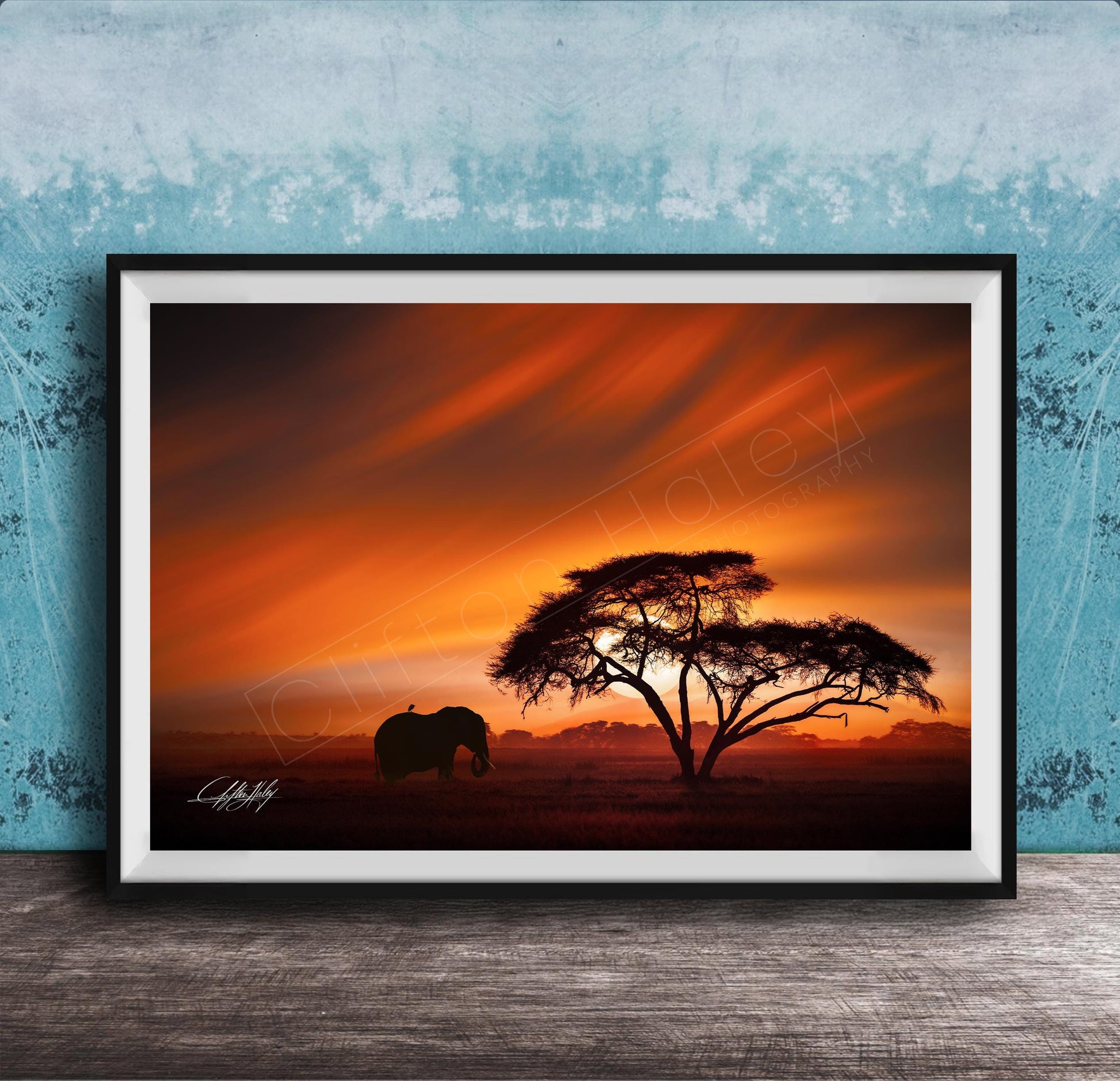 A framed photograph depicting a lone elephant standing in front of a large tree silhouetted against a vibrant orange and red sunset sky.