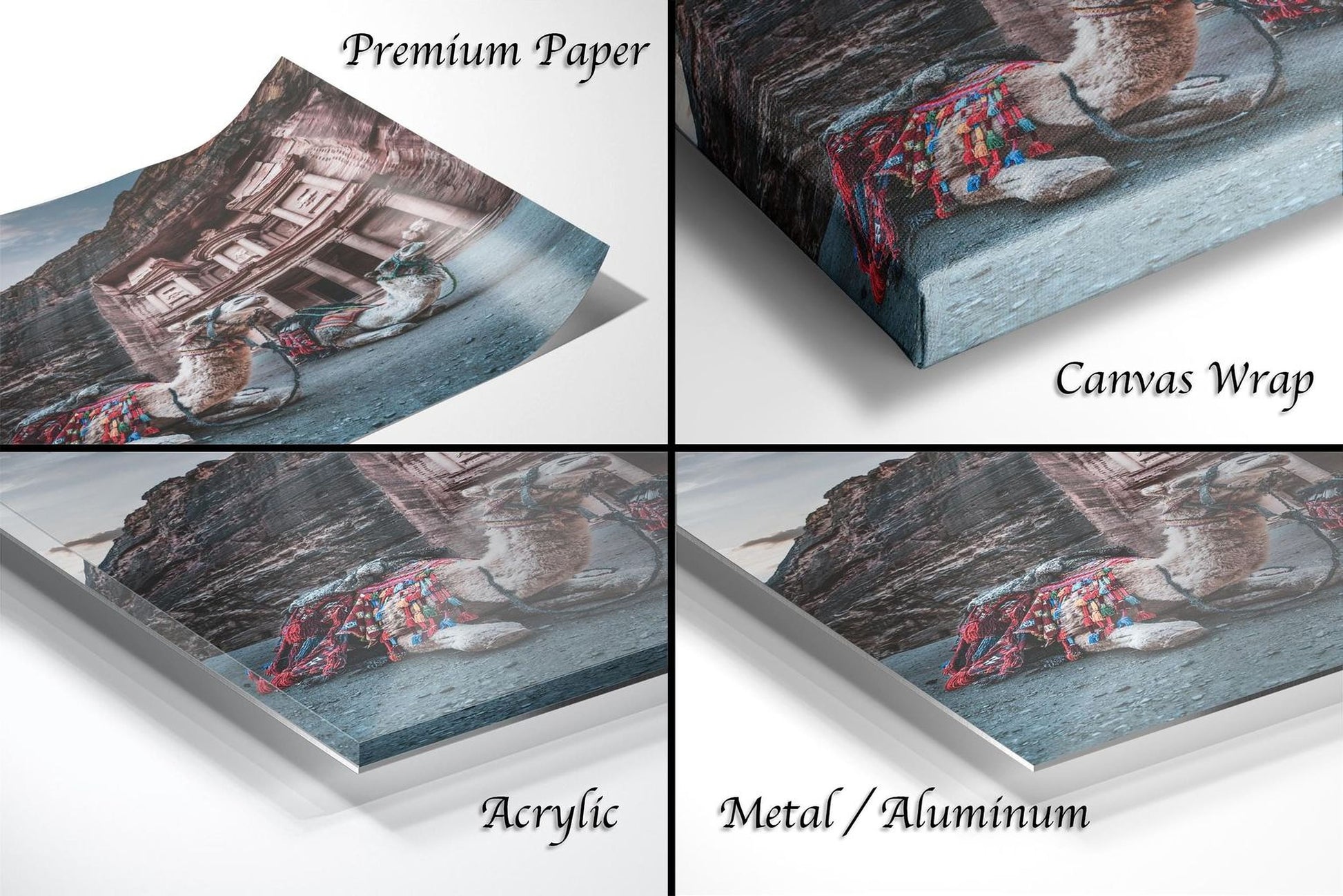 The image is a collage of four different views of a camel, each with a different description. The first view is labeled "Premium Paper", the second view is labeled "Canvas Wrap", the third view is labeled "Acrylic", and the fourth view is labeled "Metal/Aluminum".