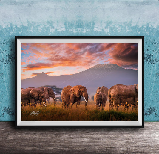 A group of elephants grazing in a grassy field with a mountain in the background, set against a colorful sunset sky.