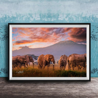 A group of elephants grazing in a grassy field with a mountain in the background, set against a colorful sunset sky.