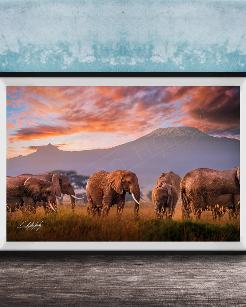 A group of elephants grazing in a grassy field with a mountain in the background, set against a colorful sunset sky.