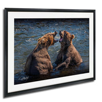 Two brown bears standing in a body of water, facing each other and appearing to be engaged in a playful or aggressive interaction.