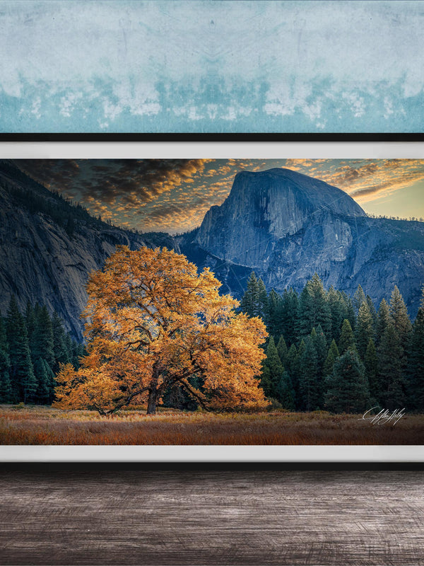 The image is a framed photograph depicting a scenic landscape with a large tree in the foreground, a majestic mountain range in the background, and a blue sky with clouds.
