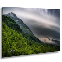 a lush, green forest with a cloudy, gray sky in the background.