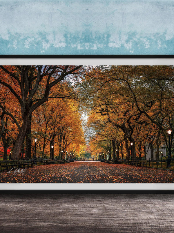 A framed photograph depicting a tree-lined street with fallen leaves, set against a blue wall.