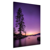 a serene landscape with a tall tree silhouetted against a vibrant purple sky, overlooking a calm body of water.