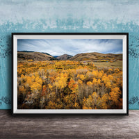 The image is a framed photograph of a scenic landscape with a valley filled with trees displaying autumn colors.