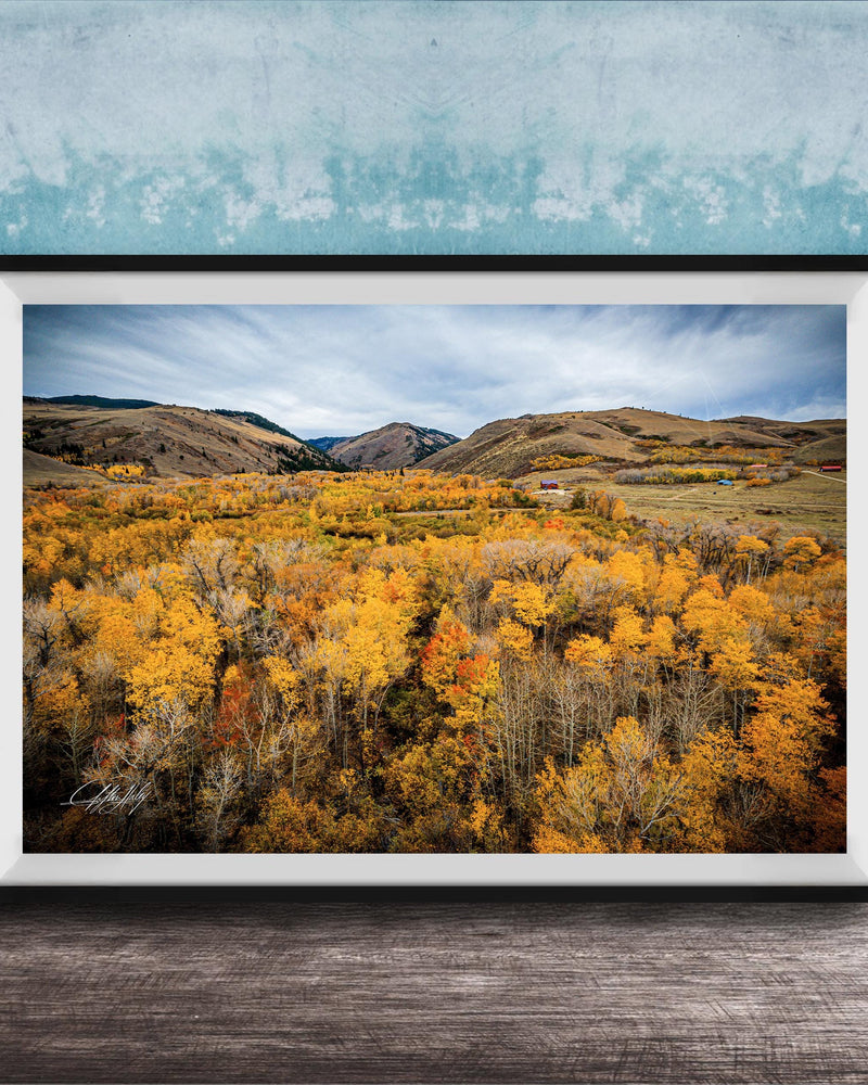 The image is a framed photograph of a scenic landscape with a valley filled with trees displaying autumn colors.