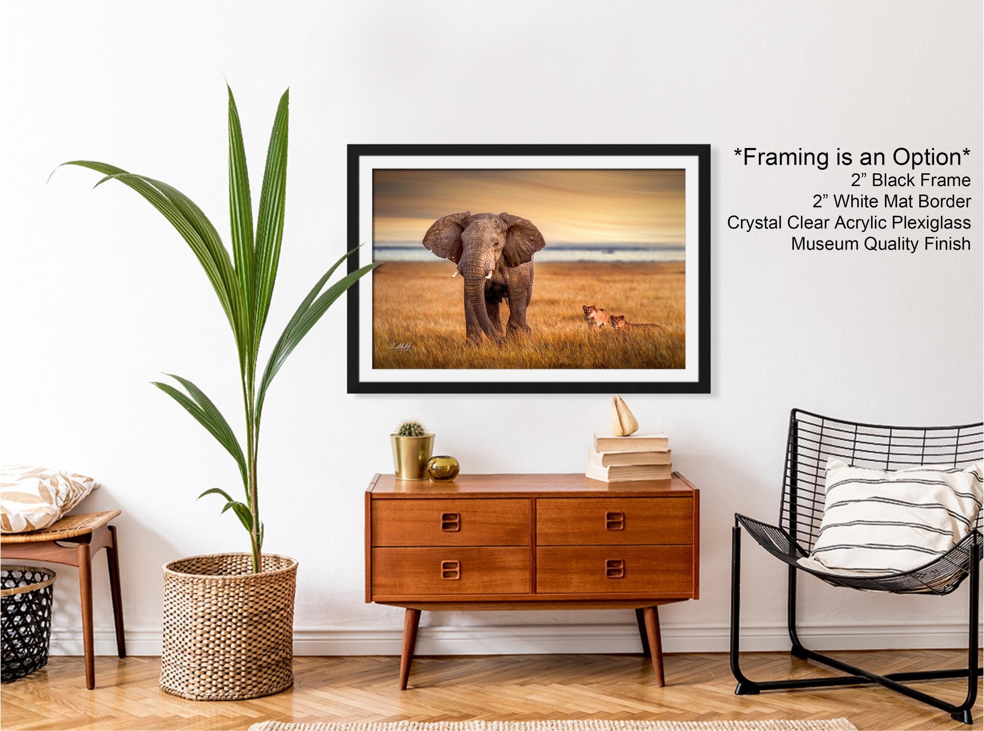 wildlife photography, Amboseli sunrise, elephant vs lions, Kenya safari, Maasai culture, African wildlife, big tusker, safari adventure