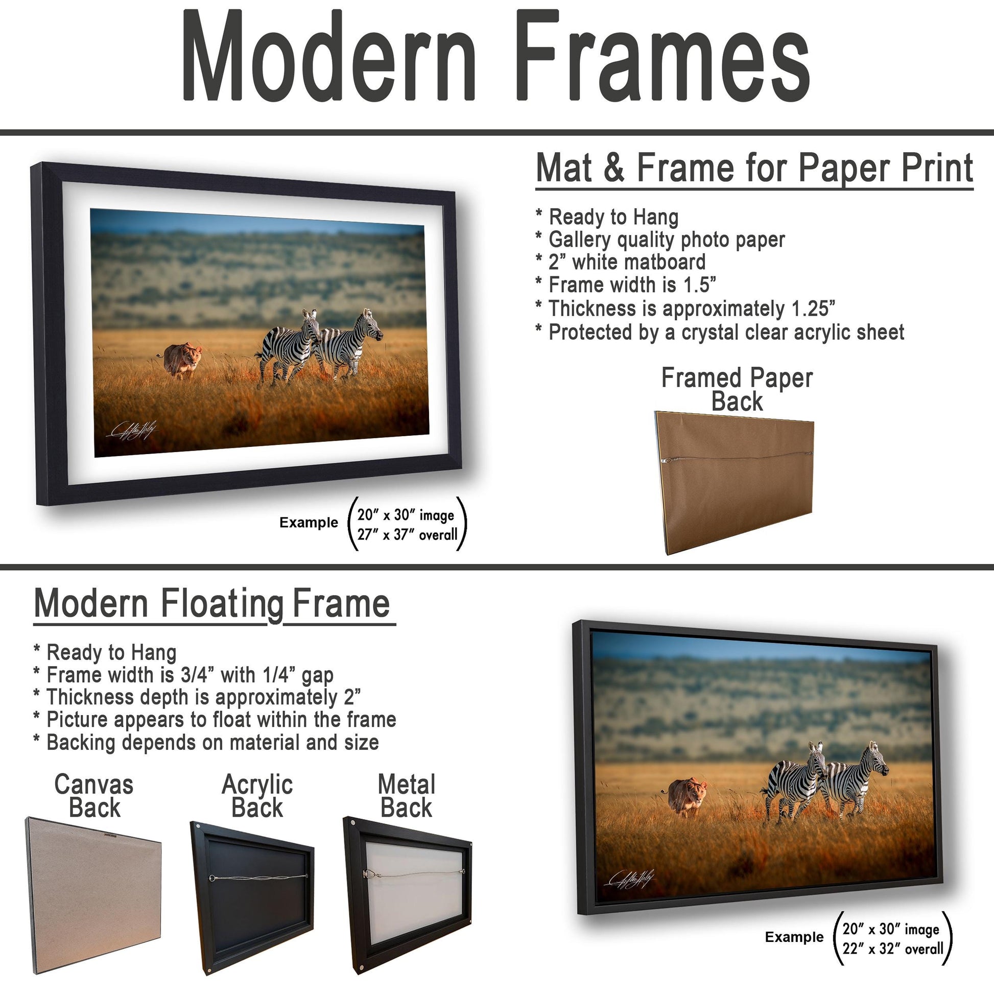 a picture of a zebra in a field with other pictures