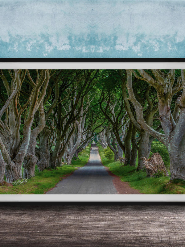 A framed photograph depicting a winding road lined with twisted, gnarled trees, creating a natural tunnel-like effect.