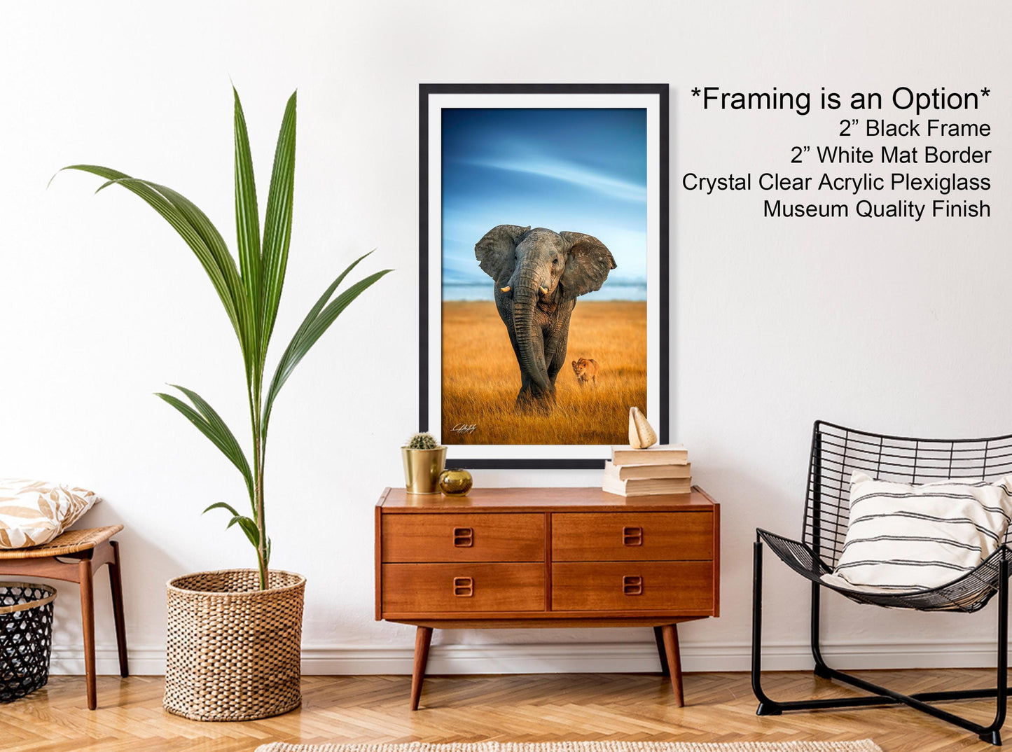 wildlife photography, Amboseli sunrise, elephant vs lions, Kenya safari, Maasai culture, African wildlife, big tusker, safari adventure