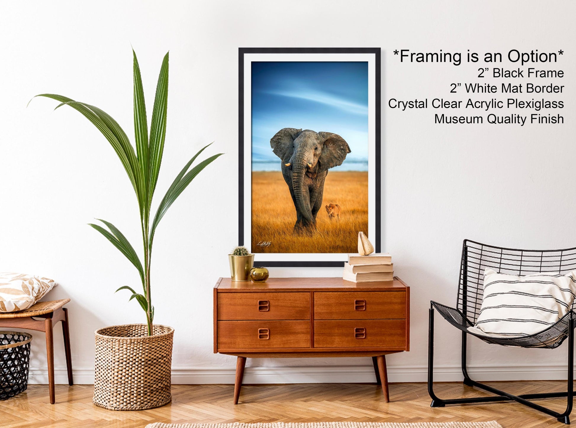 wildlife photography, Amboseli sunrise, elephant vs lions, Kenya safari, Maasai culture, African wildlife, big tusker, safari adventure