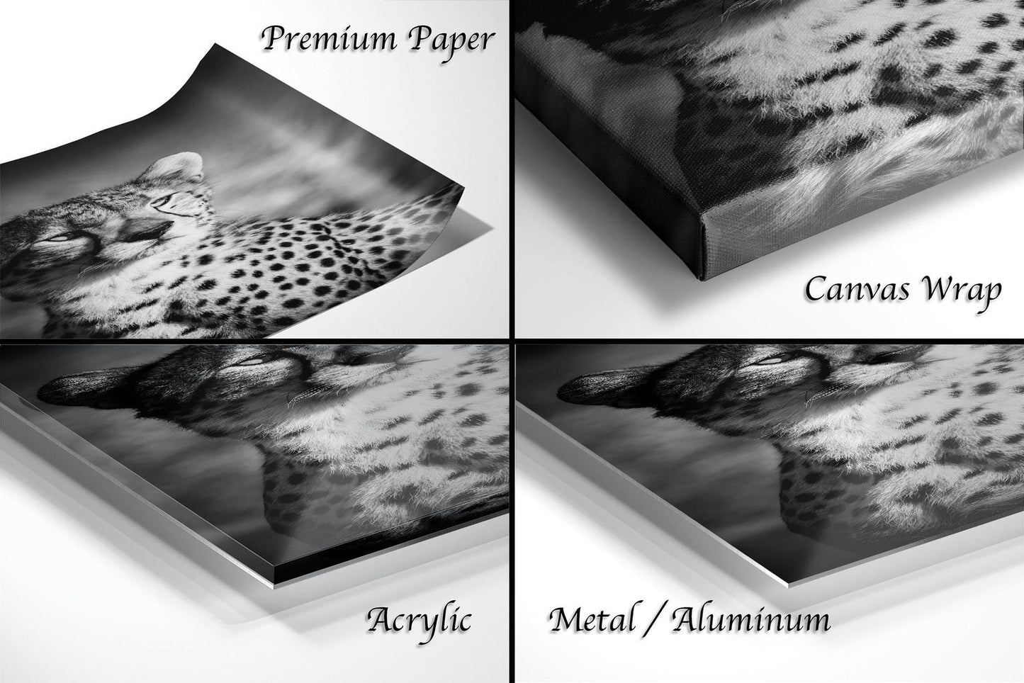 The image is a collage of four different photographs of a cheetah, each with a different frame type: "Premium Paper", "Canvas Wrap", "Acrylic", and "Metal/Aluminum".