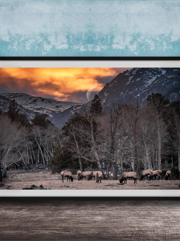 A framed photograph depicting a group of deer grazing in a field with snow-capped mountains in the background, under a dramatic sky with a crescent moon.