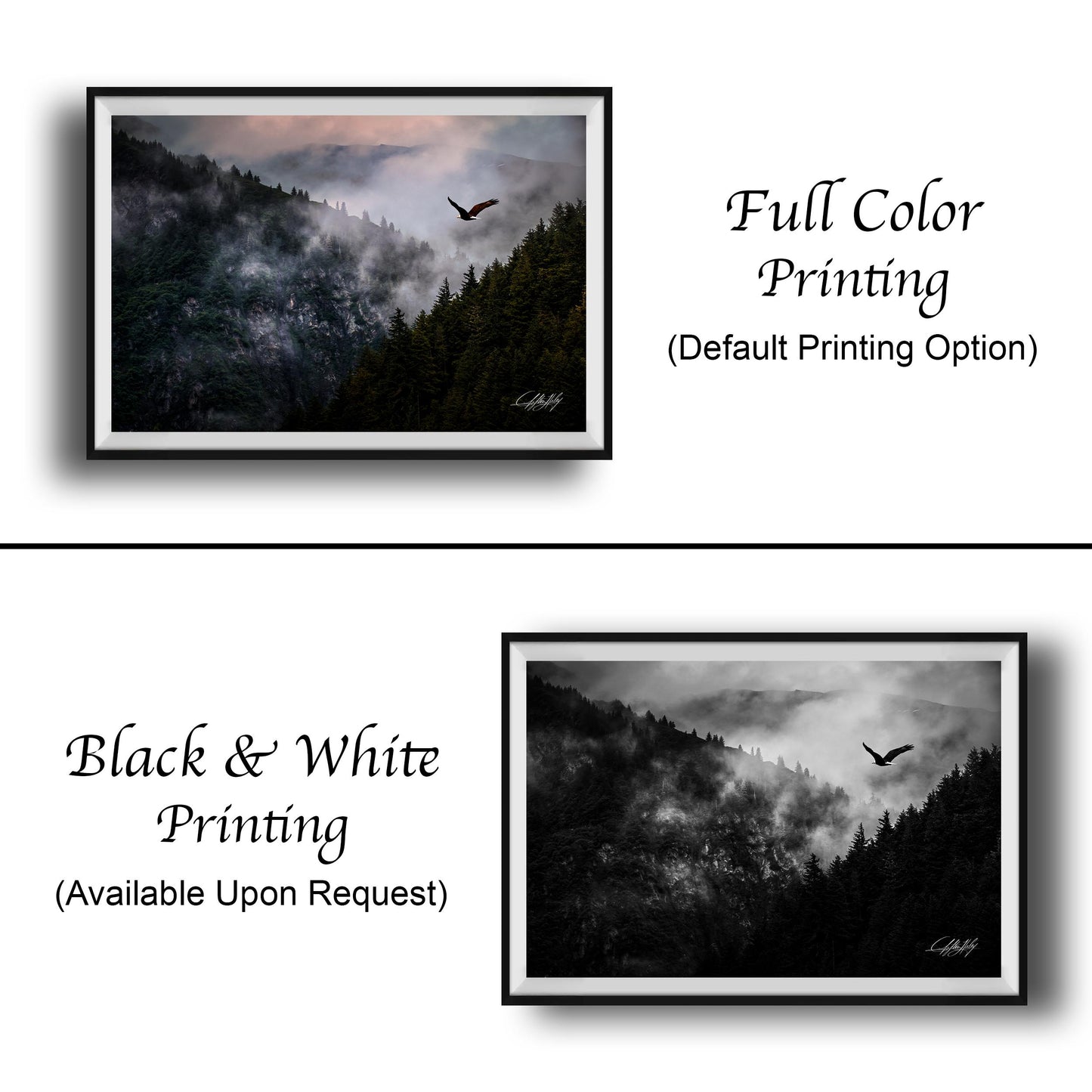 The image is a collage of two framed photographs. The top photograph depicts a bird flying over a forested mountain landscape, while the bottom photograph shows a bird flying over a misty, forested mountain. The text below the images indicates that the full color printing is available upon request.