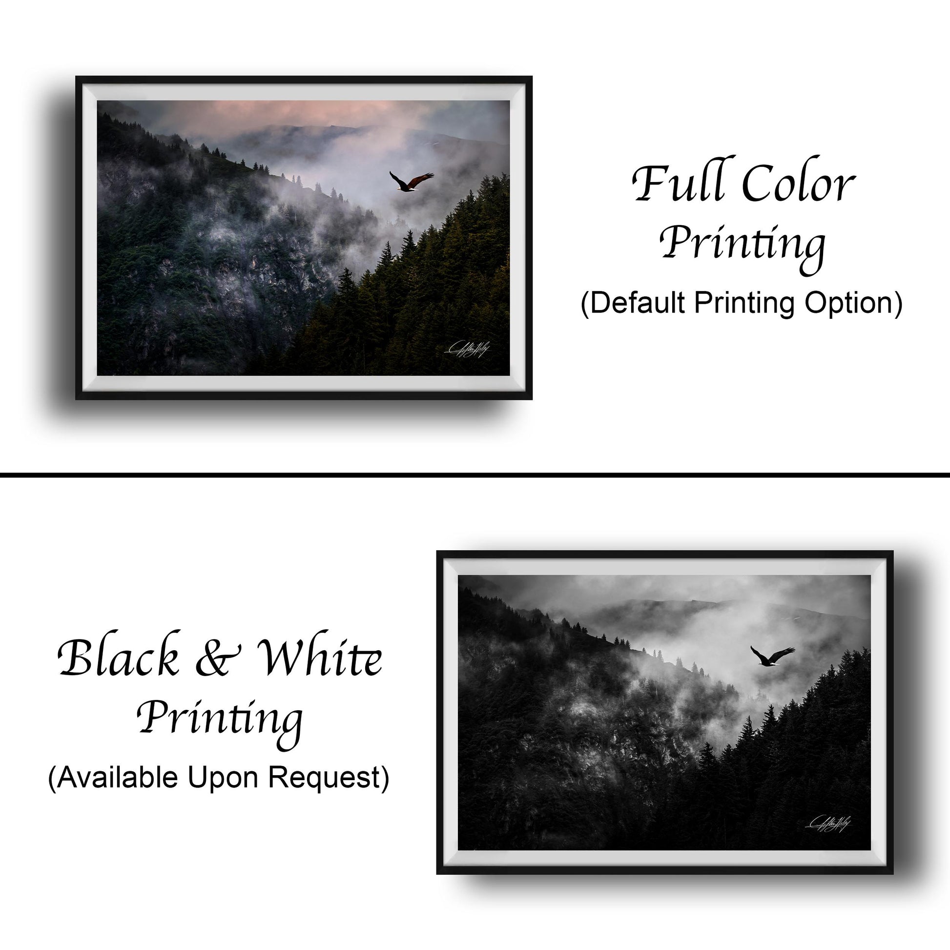 The image is a collage of two framed photographs. The top photograph depicts a bird flying over a forested mountain landscape, while the bottom photograph shows a bird flying over a misty, forested mountain. The text below the images indicates that the full color printing is available upon request.
