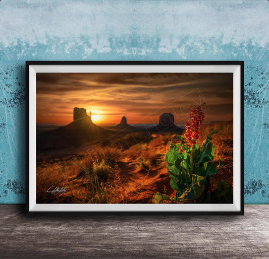 A framed photograph depicting a desert landscape at sunset, with a red flower in the foreground and silhouetted mountains in the background.