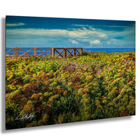 A field of colorful flowers stretches out towards the horizon, with a wooden fence running along the edge of the field. The sky above is a clear blue, dotted with fluffy white clouds.