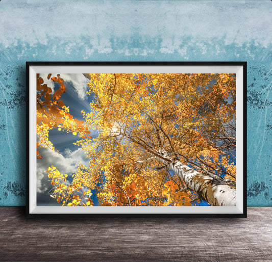 A framed photograph of a tree with vibrant yellow leaves against a blue sky with clouds, displayed on a wooden surface against a textured blue wall.