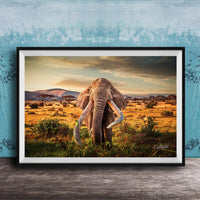 A large elephant with long tusks stands in a grassy field, facing the camera, with a mountainous landscape in the background.