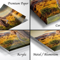 The image is a collage of four different views of a landscape, including a close-up of a large animal, a landscape with a sunset, and a close-up of a large animal.