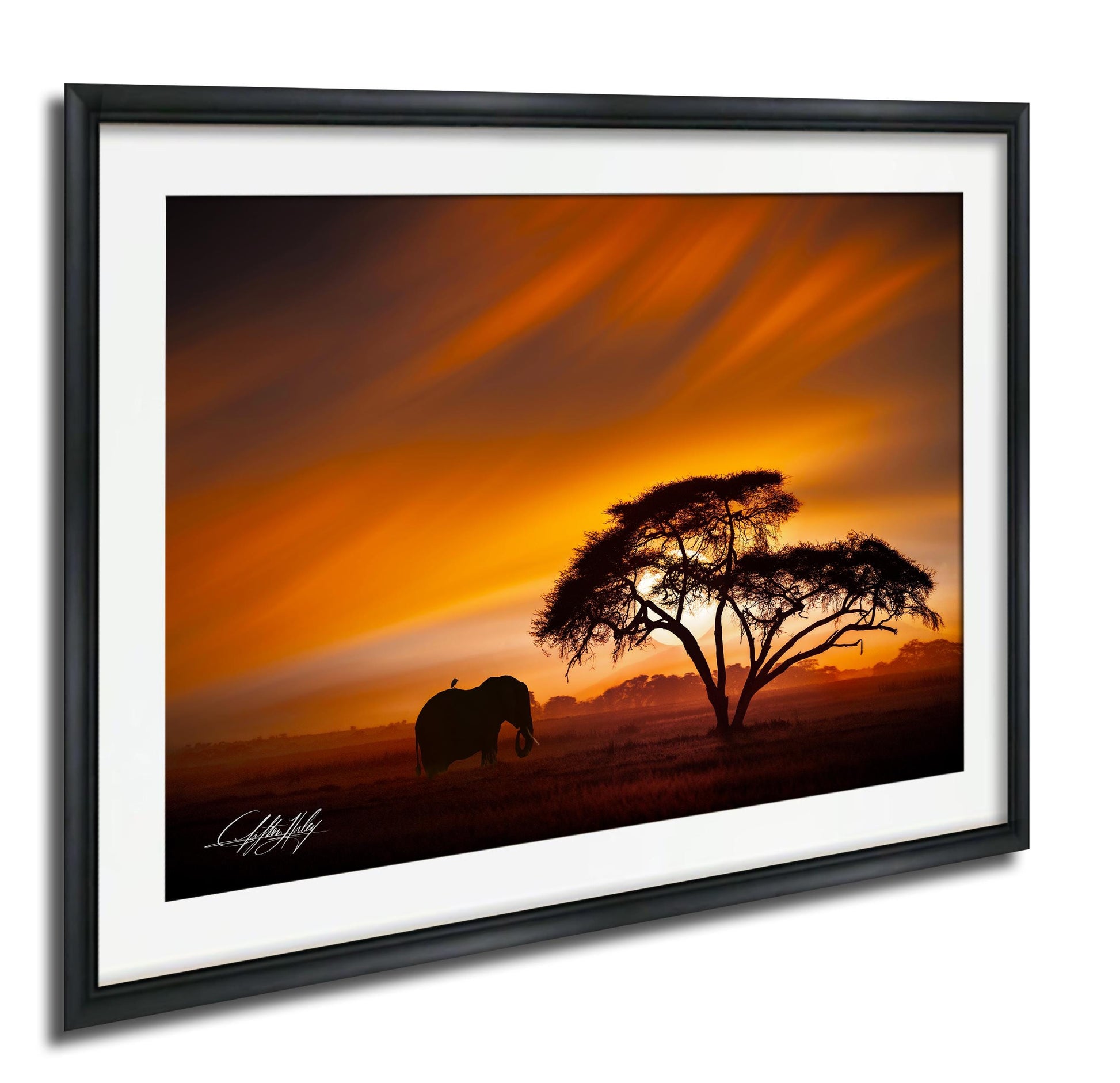 A lone elephant stands silhouetted against a vibrant sunset sky, with a tree in the foreground.