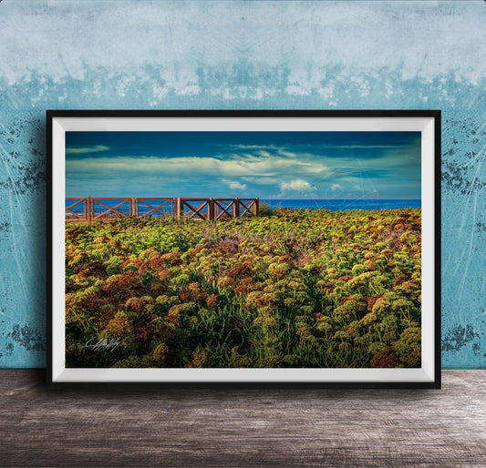 A framed photograph depicting a field of colorful flowers with a wooden walkway leading to a blue sky and ocean in the background.