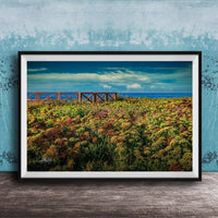 A framed photograph depicting a field of colorful flowers with a wooden walkway leading to a blue sky and ocean in the background.