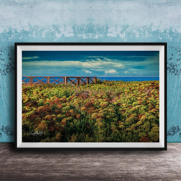 A framed photograph depicting a field of colorful flowers with a wooden walkway leading to a blue sky and ocean in the background.