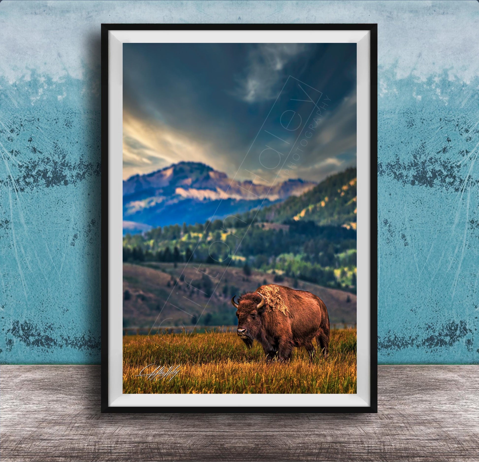 A large brown bison stands in a grassy field, with a mountainous landscape in the background under a dramatic cloudy sky.