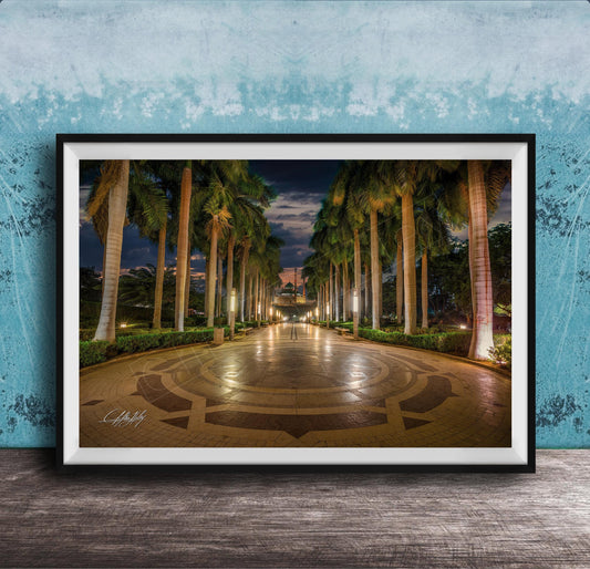 A framed photograph depicting a serene nighttime scene of a palm-lined walkway with a circular pattern, illuminated by warm lighting.