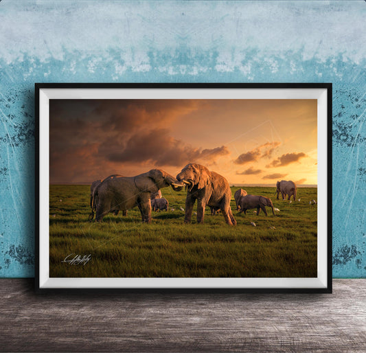 A framed photograph depicting a group of elephants in a grassy field at sunset, with the sky filled with clouds and warm hues.
