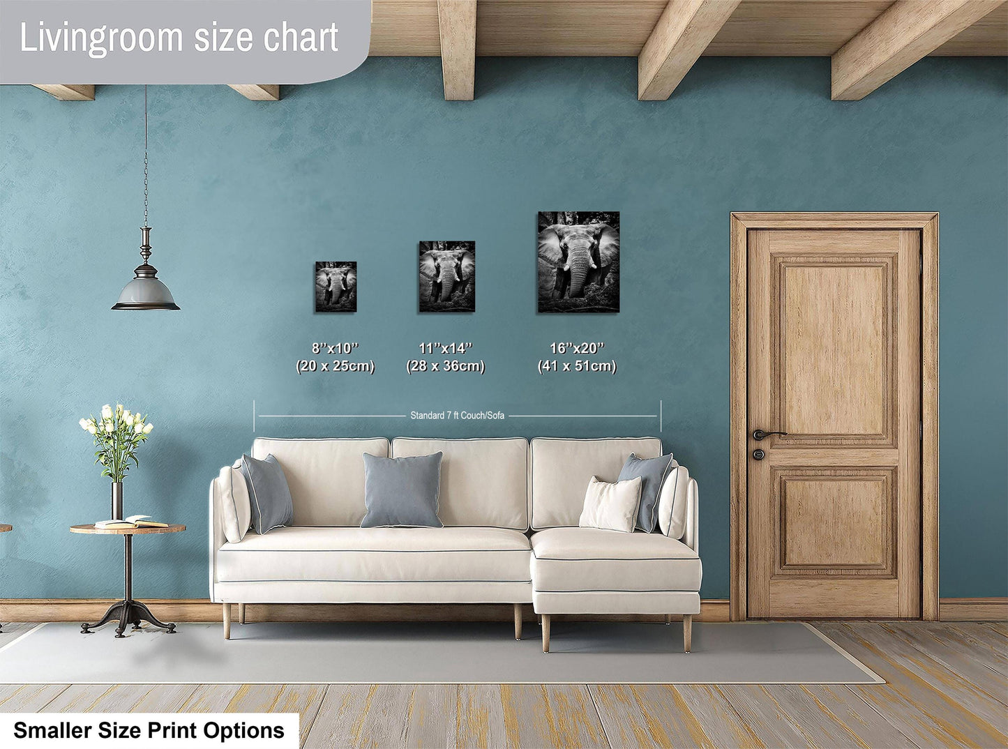 a living room with a white sofa, a wooden door, and a hanging light fixture. There are three framed pictures of elephants displayed on the wall, each with a different size. The wall is painted in a light blue color, and the floor is covered with a gray rug.