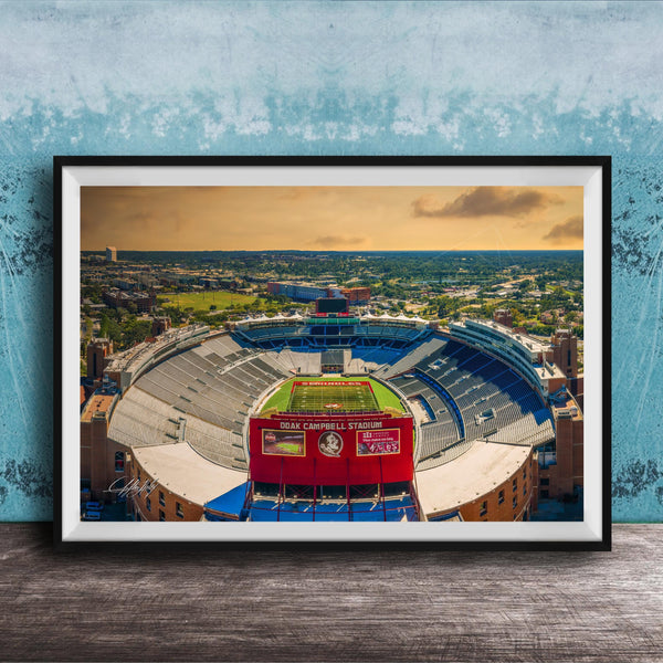 The image is a framed photograph of a football stadium, specifically the dome stadium at Duke Campbell Stadium, with a cityscape in the background.