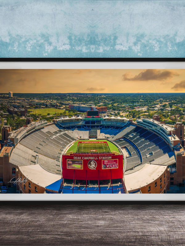 The image is a framed photograph of a football stadium, specifically the dome stadium at Duke Campbell Stadium, with a cityscape in the background.