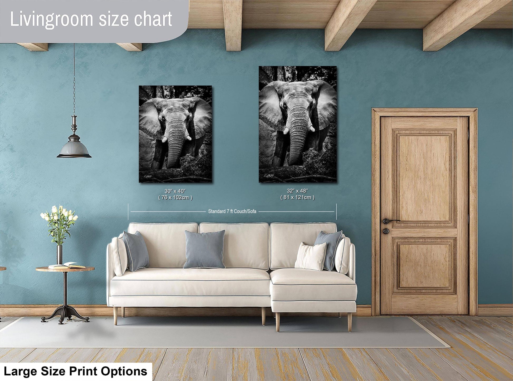 a living room with a white sofa and a wooden door. Above the sofa, there are two framed photographs of elephants, one larger than the other. The wall behind the sofa has a blue color, and there is a lamp hanging from the ceiling. The living room appears to be well-decorated and spacious.