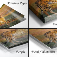 The image is a collage of four different views of a cheetah in its natural habitat, showcasing the animal in various poses and settings.