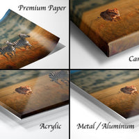 The image is a collage of four different views of a zebra in a field, each with a different material or finish, including "Premium Paper", "Canvas Wrap", "Acrylic", and "Metal/Aluminum".