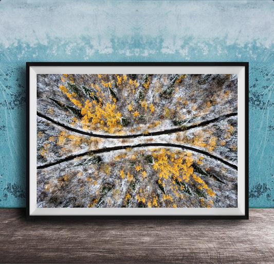 The image is a framed aerial photograph of a snowy forest with yellow and green foliage.