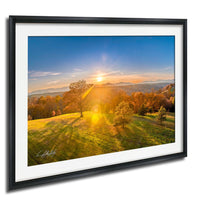 a serene landscape with a sunlit field, trees, and mountains in the distance.