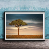 A lone tree stands in a field, its branches reaching out against a backdrop of a cloudy sky.