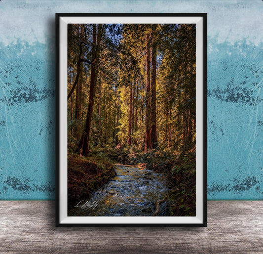 A framed photograph of a serene forest scene with a small stream flowing through it, surrounded by tall trees with vibrant green leaves.