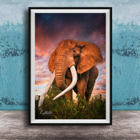 A large elephant with long white tusks stands in a grassy field, its massive form contrasting with the vibrant colors of the sky and clouds in the background.