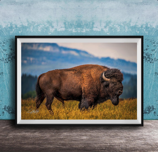 Western Bison Canvas Print – Rustic Buffalo Wall Decor with Bison Fur Texture Detail