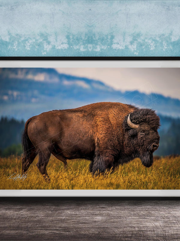 Western Bison Canvas Print – Rustic Buffalo Wall Decor with Bison Fur Texture Detail