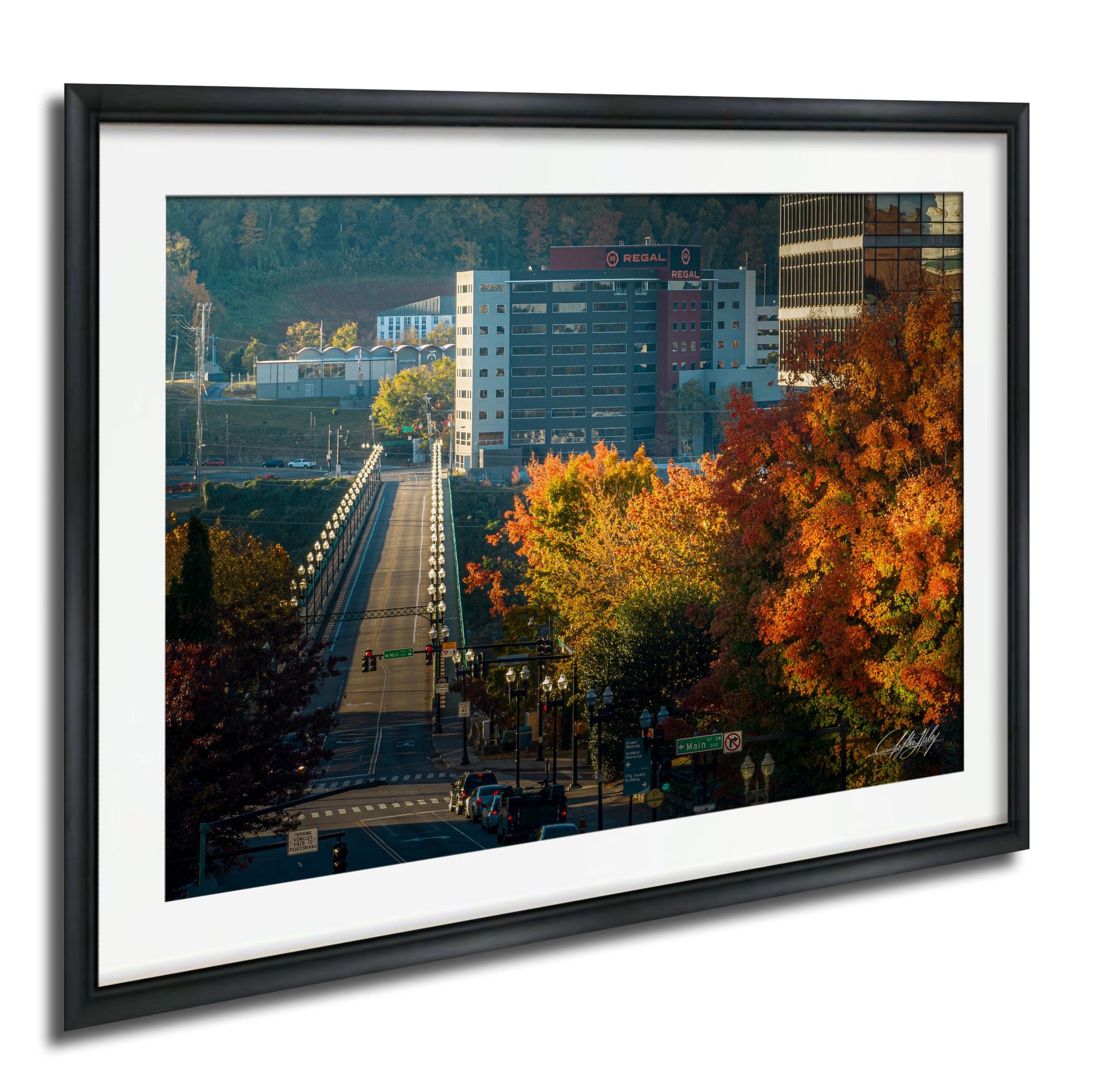 a cityscape with a bridge, buildings, and trees with autumn foliage.