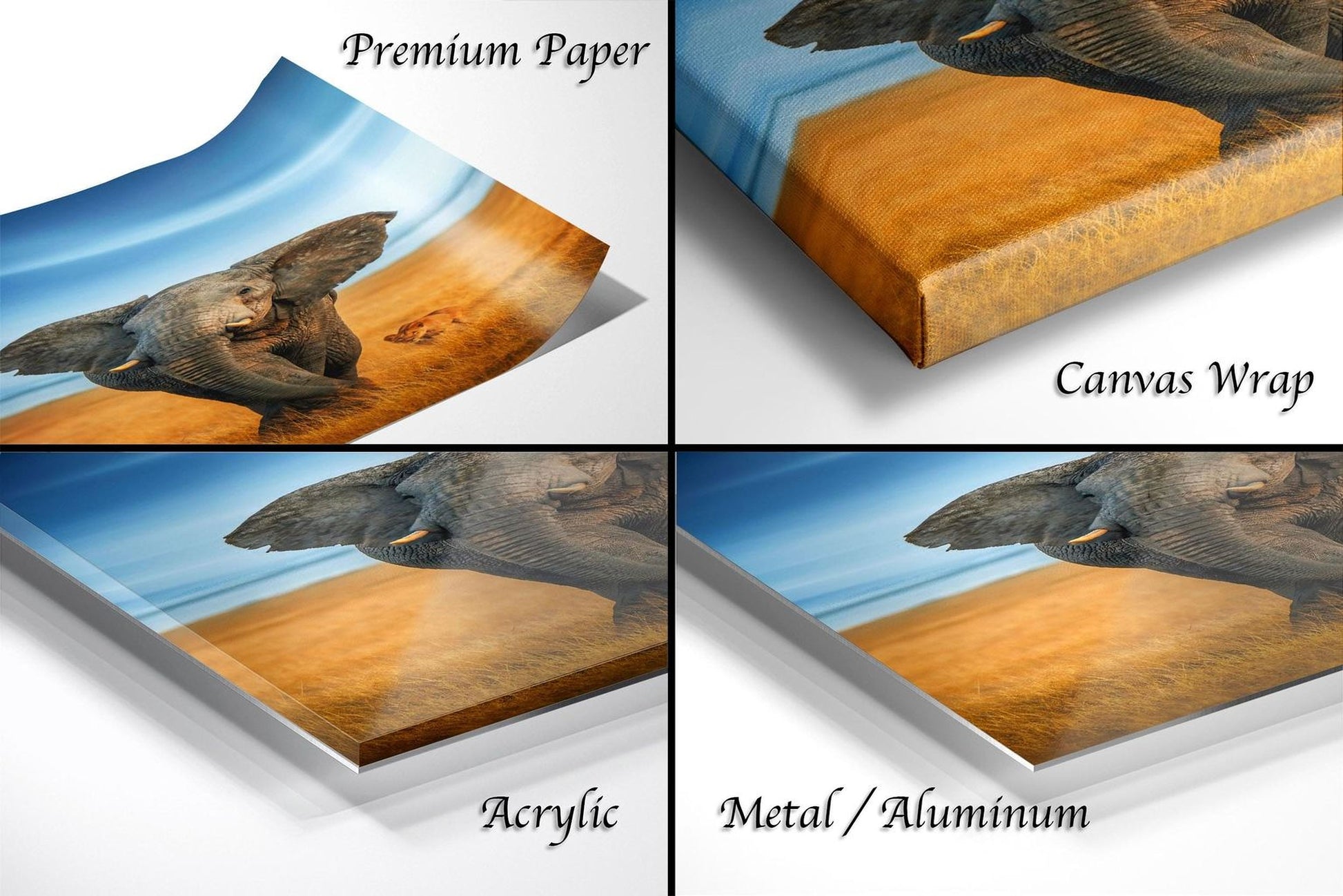 The image is a collage of four different views of an elephant, each with a different texture or finish, including a canvas wrap, acrylic, metal, and aluminum.