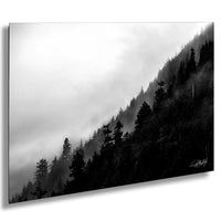 A black and white image depicting a forested mountain slope with a misty, hazy atmosphere.